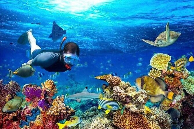 Roatan Shore Excursion